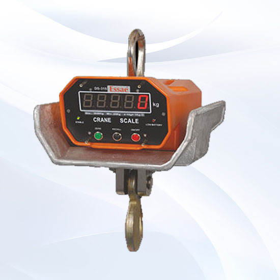 ds-315-electronic-essae-crane-scale