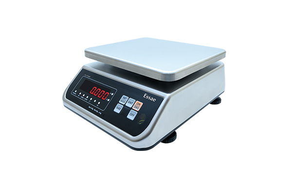 DS-773SS WEIGING SCALE